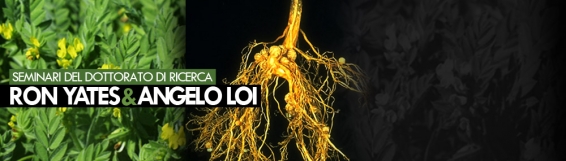 Seminari del Dottorato di Ricerca  Scienze e Tecnologie Agrarie Alimentari  e Forestali