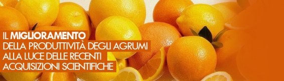 Agraria: 29 maggio seminario �Il miglioramento della produttivit&agrave; degli agrumi alla luce delle recenti acquisizioni scientifiche�
