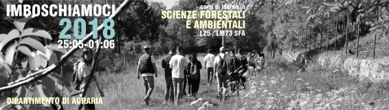 �Imboscati per studiare�. Dal 25 maggio, l�edizione 2018 nel Parco Nazionale dell�Aspromonte