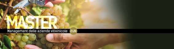 Agraria e DiGiES. Master in �Management delle aziende vitivinicole�