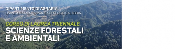Scegli Scienze Forestali e Ambientali